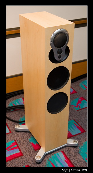 2006 - 10 - Salon hifi sofitel -  001